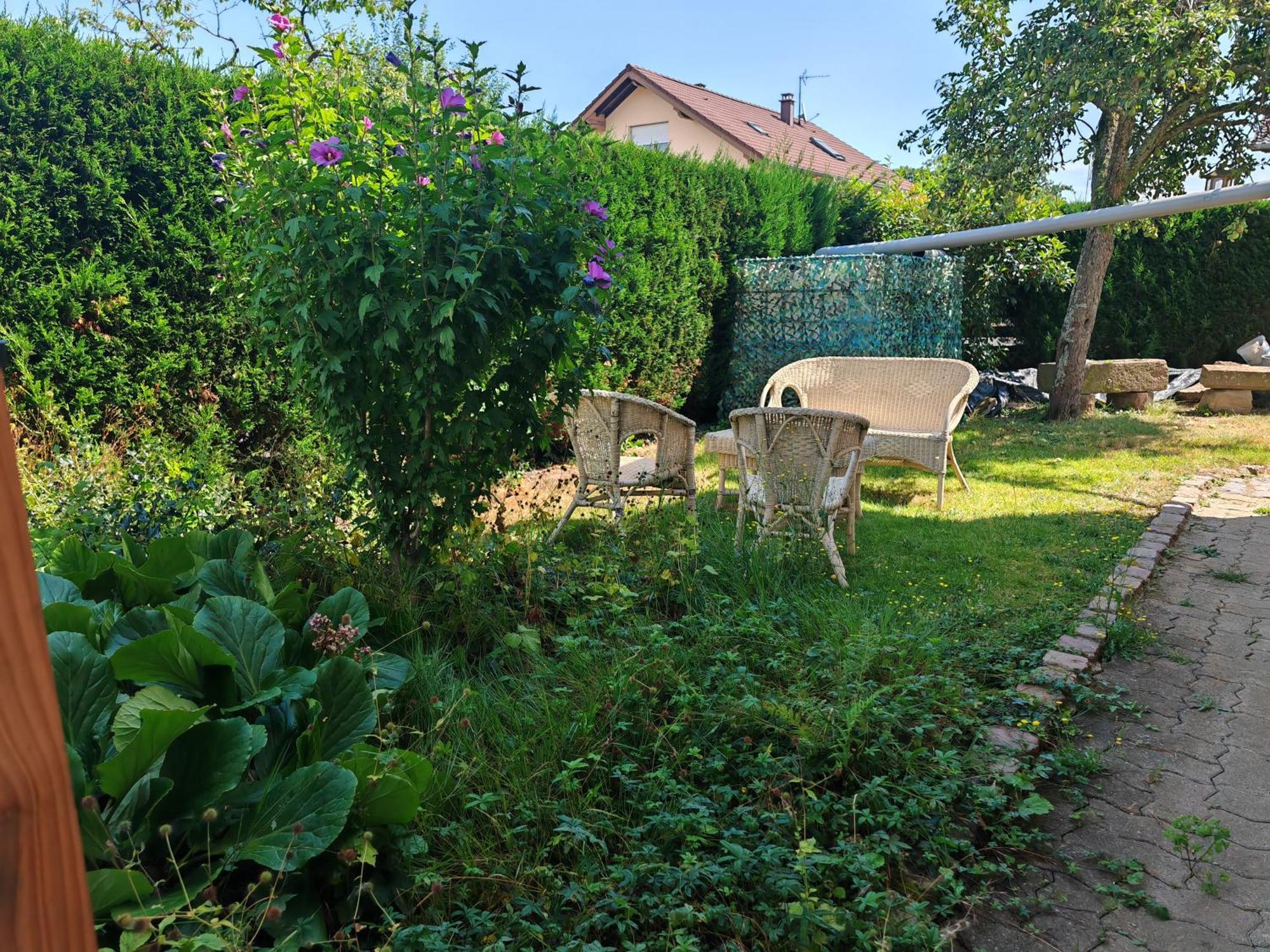 Issenheim Appartement " Le Chardonneret " מראה חיצוני תמונה